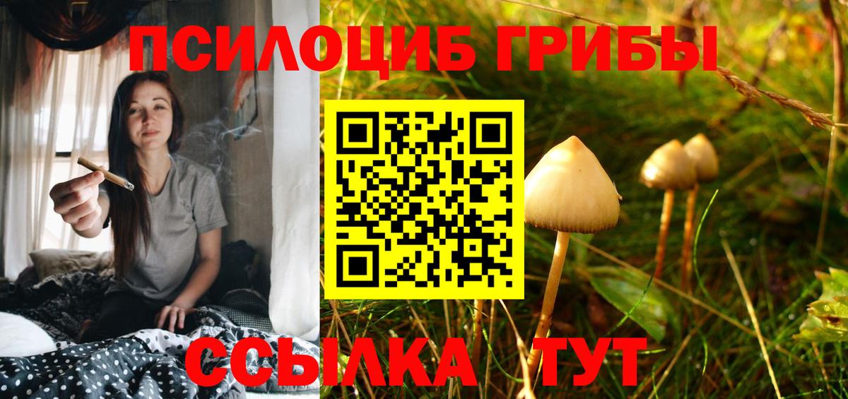 Галлюциногенные грибы Psilocybe  Вход с VPN  Великие Луки 